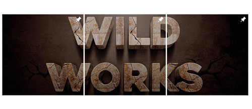 WILDWORKS